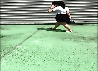 Fourrée sur le haut d'un batiment