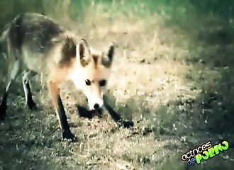 Sautée par un fétichiste des beaux pieds