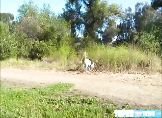 Esclave sortie de cage pour se faire baiser