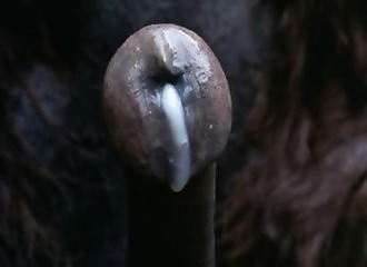 Un monstre veut se la faire en forêt