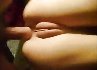Sodomie amateur