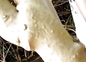 Couple arabe baise en forêt